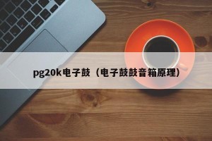 pg20k电子鼓（电子鼓鼓音箱原理）