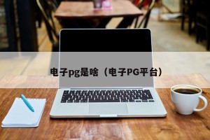 电子pg是啥（电子PG平台）