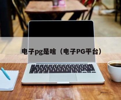 电子pg是啥（电子PG平台）