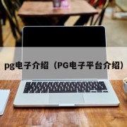 pg电子介绍（PG电子平台介绍）