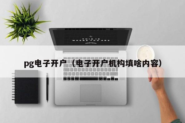 pg电子开户(电子开户机构填啥内容)