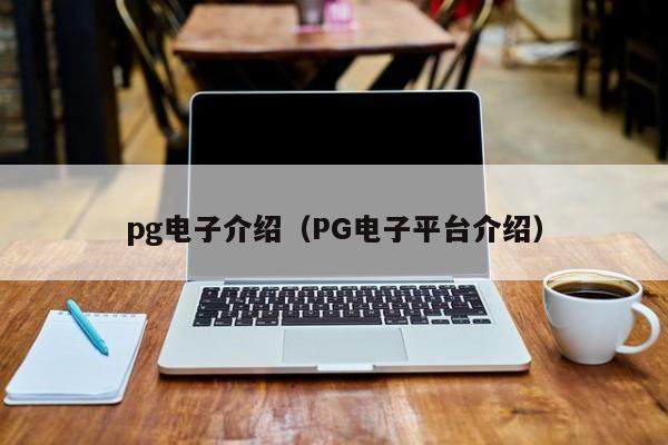 pg电子介绍(PG电子平台介绍)